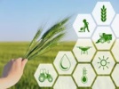 آموزش ملی کسبوکارهای نوین؛ گامی امیدبخش برای تحول دیجیتال در کشاورزی ایران