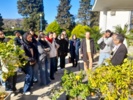 بازدید دانشجویان کارشناسی رشته باغبانی دانشگاه گیلان از پژوهشکده مرکبات و میوه‌های نیمه‌گرمسیری