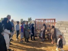 بازدید از دامداریها در قالب طرح یاوران تولید
