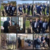 اولین سمینار تخصصی خرما با عنوان  تغذیه و مدیریت آفات نخیلات در روستای دهلسم نهبندان برگزار شد