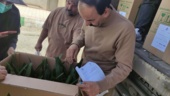 صادرات ۱۰ هزار اصله نهال کشت‌بافتی خرما از مرز مهران به عراق