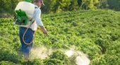 ارزیابی احتمال خطر آفت‌کش‌ها در کشاورزی رویکردی علمی برای کاهش مخاطرات بهداشتی و زیست‌محیطی و حرکت به سوی کاربرد آفت‌کش‌های کم‌خطر