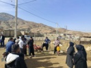 محقق مرکز تحقیقات ایلام نسبت به خطر کزاز علفی در مراتع بهاره هشدار داد