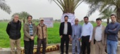 کارگاه ترویجی دستیابی به پتانسیل عملکرد گندم در خرمشهر برگزار شد