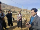 آموزش دامداران روستای چم‌روته با رویکرد اصلاح نژاد گروهی و افزایش بهره‌وری تولید