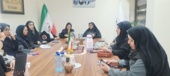 نشست هم‌اندیشی درخصوص هم افزایی ظرفیت‌های استان کرمان