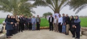 کارگاه آموزشی مدیریت آبیاری مزارع در خرمشهر برگزار شد