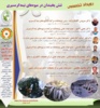 رویداد تخصصی تنش یخبندان در میوه‌های نیمه‌گرمسیری