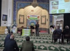 آموزش شناسایی و کنترل زنجره مو با تأکید بر مدیریت تلفیقی آفات
