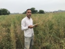 آغاز برداشت پروژه تحقیقاتی تعیین سازگاری ارقام و لاین‌های بهاره کلزا در اقلیم گرم خشک