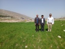 پایگاه نوآوری دیم ایوان؛ راهبردی برای خودکفایی و تاب‌آوری کشاورزان منطقه