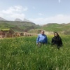 مزارع گندم و جو استان زیر ذره‌بین گیاهپزشکان مرکز تات لرستان