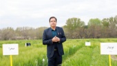 آغاز کراس‌های برنامه های به نژادی جو آبی در موسسه تحقیقات اصلاح و تهیه نهال و بذر؛ اولین گام در مسیر تولید ارقام جدید