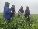 نظارت تخصصی بر طرح نوین «کودآبیاری» در علی‌آباد کتول توسط محقق مرکز تحقیقات و آموزش کشاورزی
