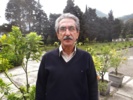 راهکارهای علمی کاهش ریزش گل و میوه در مرکبات