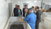 ارزیابی فنی ایستگاه قره‌سو و بررسی میدانی روند پرورش و فرآوری میگوی گمیشان