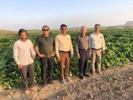 بازدید گروه نظارت و ارزشیابی مؤسسه تحقیقات اصلاح و تهیه بذر چغندرقند در سفر به خوزستان
