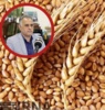 ضرورت راه اندازی بازار بین المللی در البرز / ظرفیت های قابل توجه در تولید بذر اصلاح شده