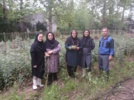 شکوفایی دانش در مزرعه