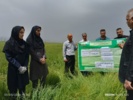 روز انتقال یافته‌های تحقیقاتی «مبارزه با عوامل خسارت‌زای مزارع گندم؛ سن غلات و بیماری زنگ زرد»