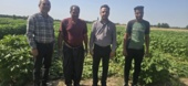 بررسی وضعیت محصولات سبزی و جالیزی شمال استان خوزستان از نظر نیترات و عناصر سنگین