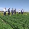 بازدید رئیس مؤسسه تحقیقات اصلاح و تهیه نهال و بذر از ایستگاه تحقیقات کشاورزی طرق مشهد