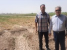 بازدید سیلسپور، رئیس محترم مرکز از ایستگاه تحقیقات کشاورزی مرکزی