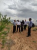 بازدید رئیس مؤسسه تحقیقات علوم باغبانی از باغ ۸۰ هکتاری بادام دیم در روستای فرجآباد شهرستان خمین