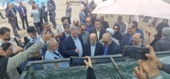برداشت محصول ماهی آزاد بومی از قفس‌های دریای خزر در مازندران