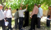 برگزاری کارگاه آموزشی مبارزه با آفت کرم خراط در روستای گریک