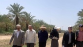 بازدید رئیس موسسه تحقیقات علوم باغبانی از ستاد پژوهشکده خرما و میوه های گرمسیری؛