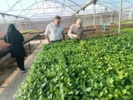 نهالستان های آذربایجان غربی زیر ذره بین سلامت؛ همکاری موسسه ثبت و گواهی بذر و نهال با بخش تخصصی در استان