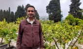 توصیههای فنی عضو هیات علمی پژوهشکده مرکبات و میوههای نیمهگرمسیری برای کنترل شته های مرکبات در نهالستان های شمال کشور