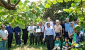 محتوای غنی از بیماری‌ها تا تغذیه گیاهی