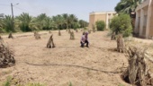 راه اندازی سیستم آبیاری تحت فشار در قطعه جدید الاحداث کنار در ستاد پژوهشکده خرما و میوه‌های گرمسیری