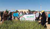 انتقال یافته های تحقیقاتی با عنوان آشنایی با ارقام جدید گندم و جو