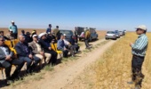 روز مزرعه کشت مستقیم کاملینا در شهرستان آشتیان