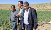 الگوسازی مرکز تحقیقات اصفهان؛ گامی مؤثر در توسعه کشاورزی دانشبنیان