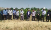 برگزاری رویداد آموزشی - ترویجی روز مزرعه با حضور محققین در شهرستان خرمآباد