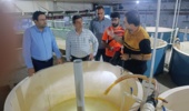 ارزیابی ظرفیتهای تحقیقاتی چابهار برای توسعه تنوعبخشی به گونههای آبزی