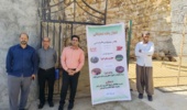 انتقال یافتههای پژوهشی به دامداران با هدف افزایش بهرهوری و کاهش هزینههای تولید