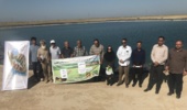برگزاری کارگاه آموزشی-ترویجی زراعت کنجد در شهرستان دیلم