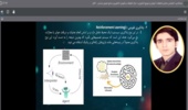 هوش مصنوعی؛ ابزاری نوین برای تحول در مدیریت و بهرهوری کشاورزی