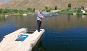 پروژه بررسی تأثیر مکانیزاسیون در مزارع پرورش ماهی قزلآلا
