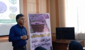 برگزاری دوره آموزشی ترویجی کاشت، داشت و برداشت زعفران