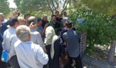 تجدید حیات باغات قدیمی آذربایجان شرقی با آموزش متدهای نوین پیوند