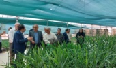 در سفر رییس موسسه تحقیقات گیاه‌پزشکی کشور به استان قزوین؛