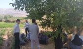 برگزاری دوره آموزشی بهره‌برداران صیفی‌کار