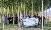روز مزرعه سایت الگویی صنوبر در اردبیل برگزار شد/ گامی جهت توسعه زراعت چوب و کاهش فشار بر جنگلها