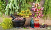 دوره تخصصی برداشت و فرآوری گیاهان دارویی و معطر